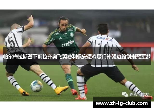 帕尔梅拉斯签下前拉齐奥飞翼费利佩安德森豪门补强边路剑指冠军梦