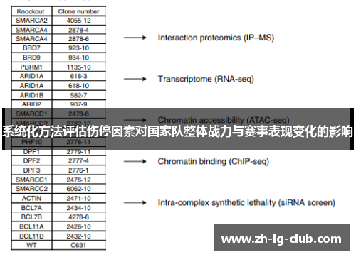系统化方法评估伤停因素对国家队整体战力与赛事表现变化的影响 系统化方法评估伤停因素对国家队整体战力与赛事表现变化的影响